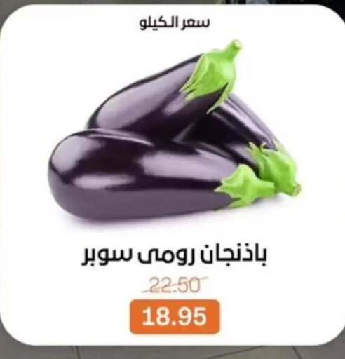 available at Beit El Gomla in Egypt - Cairo