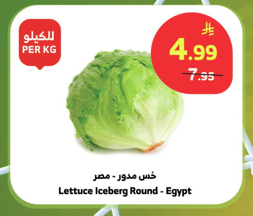 Lettuce from Egypt available at الراية in مملكة العربية السعودية, السعودية, سعودية - بيشة