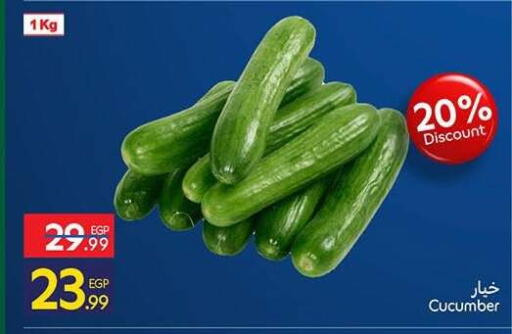 Cucumber available at Carrefour  in Egypt - Cairo