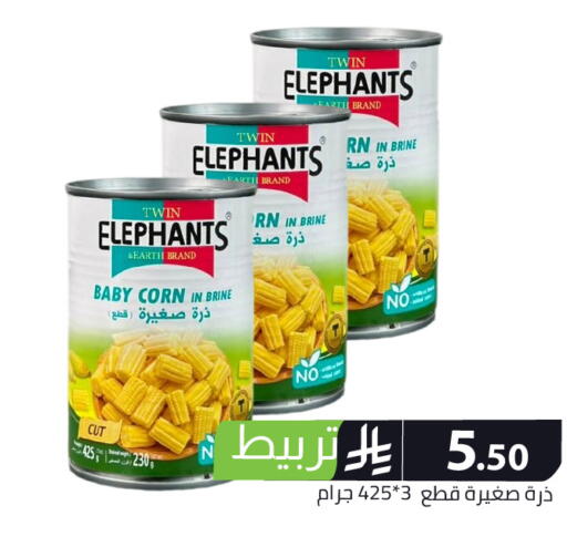 available at Family Discount in KSA, Saudi Arabia, Saudi - Riyadh