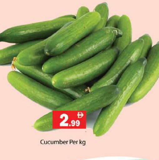 Cucumber available at جلف هايبرماركت ذ.م.م in الإمارات العربية المتحدة , الامارات - رَأْس ٱلْخَيْمَة