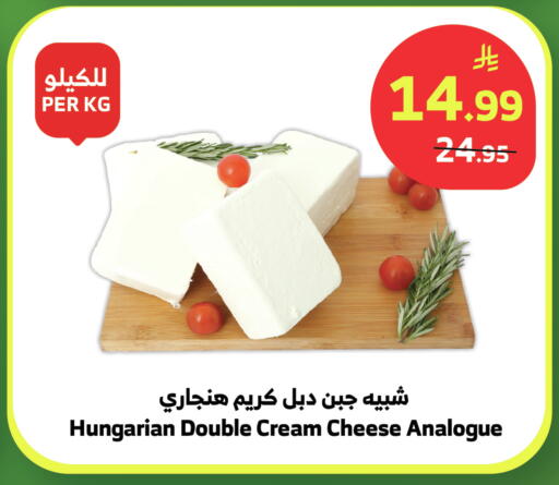 available at الراية in مملكة العربية السعودية, السعودية, سعودية - نجران