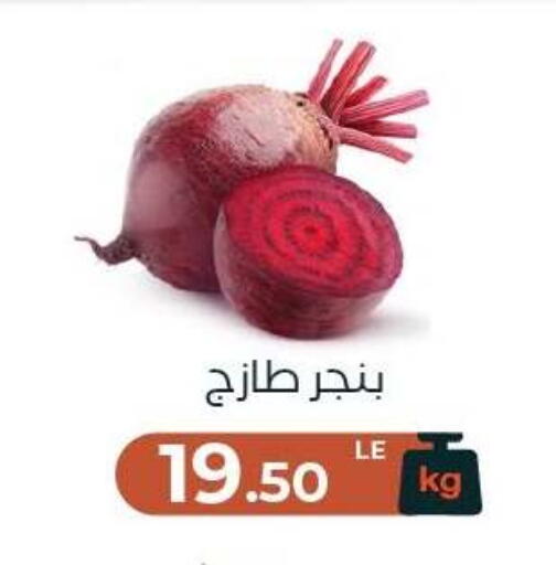 available at Arafa Market in Egypt - Cairo