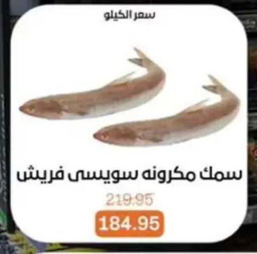 available at بيت الجملة in Egypt - القاهرة