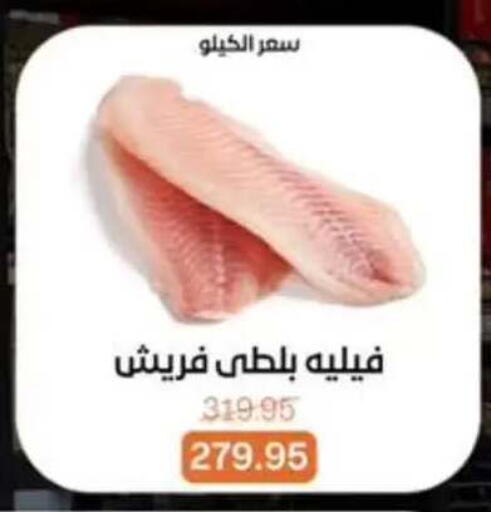 available at بيت الجملة in Egypt - القاهرة