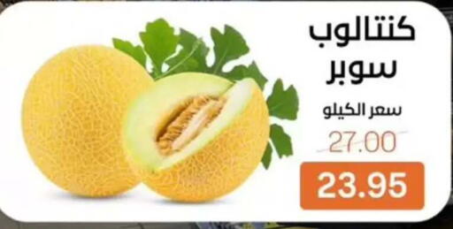 available at Beit El Gomla in Egypt - Cairo