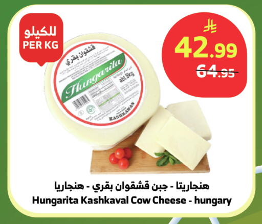 available at الراية in مملكة العربية السعودية, السعودية, سعودية - نجران