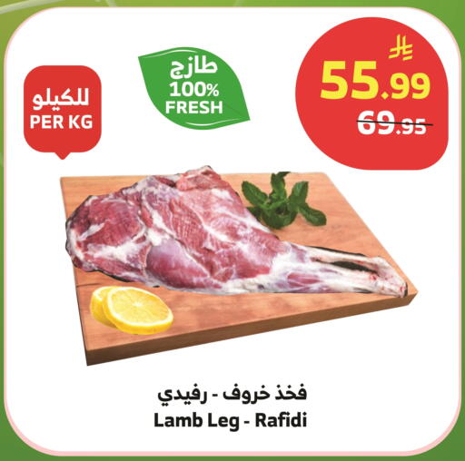 available at الراية in مملكة العربية السعودية, السعودية, سعودية - بيشة