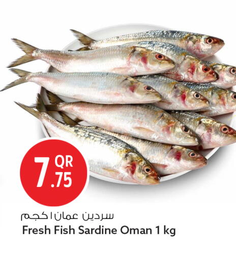 available at سفاري هايبر ماركت in قطر - الوكرة