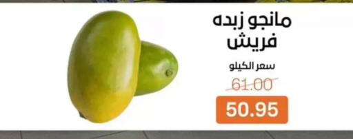 available at Beit El Gomla in Egypt - Cairo