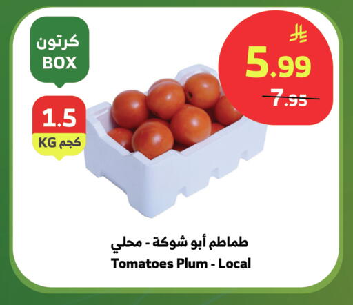 Plum Tomato available at الراية in مملكة العربية السعودية, السعودية, سعودية - بيشة