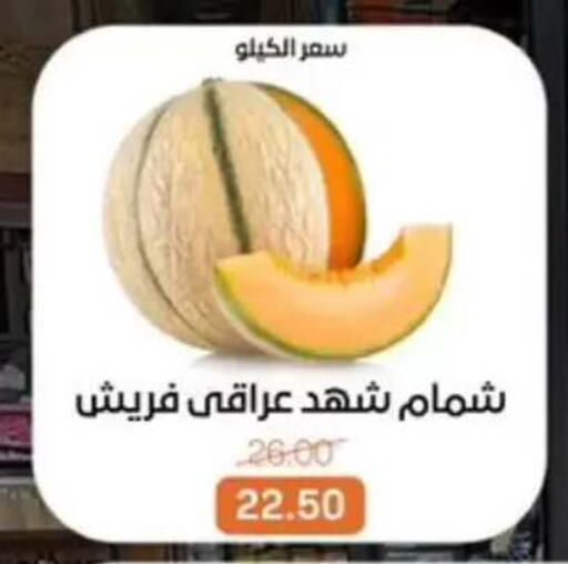 available at Beit El Gomla in Egypt - Cairo