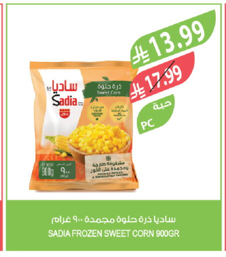 available at المزرعة in مملكة العربية السعودية, السعودية, سعودية - ينبع