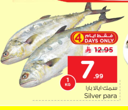 available at نستو in مملكة العربية السعودية, السعودية, سعودية - الرياض