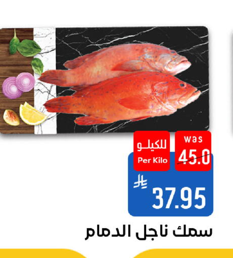 available at شبرا الطائف in مملكة العربية السعودية, السعودية, سعودية - الطائف