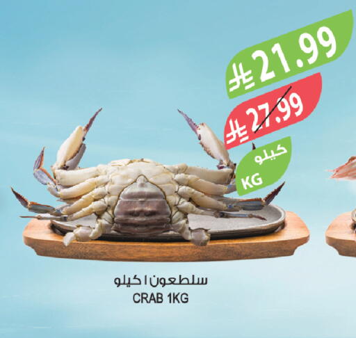 available at المزرعة in مملكة العربية السعودية, السعودية, سعودية - الرياض