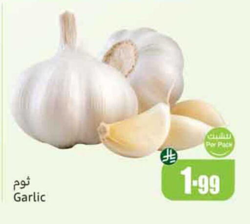 Garlic available at Othaim Markets in KSA, Saudi Arabia, Saudi - Ar Rass