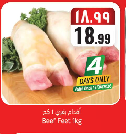 available at City Flower in KSA, Saudi Arabia, Saudi - Sakaka