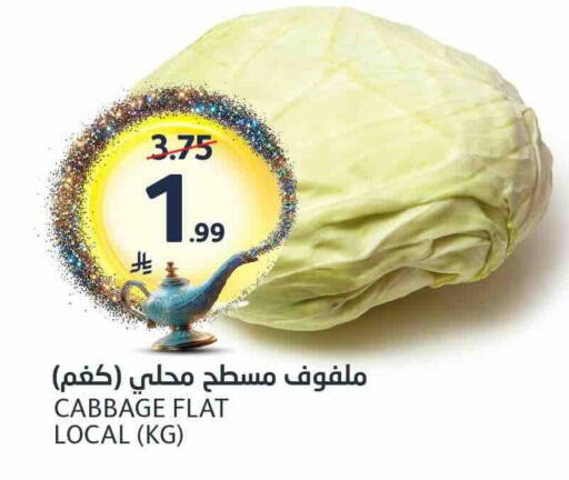 Cabbage available at مركز الجزيرة للتسوق in مملكة العربية السعودية, السعودية, سعودية - الرياض