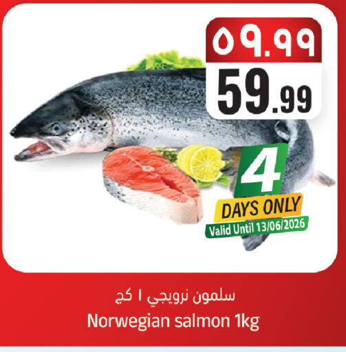available at City Flower in KSA, Saudi Arabia, Saudi - Sakaka