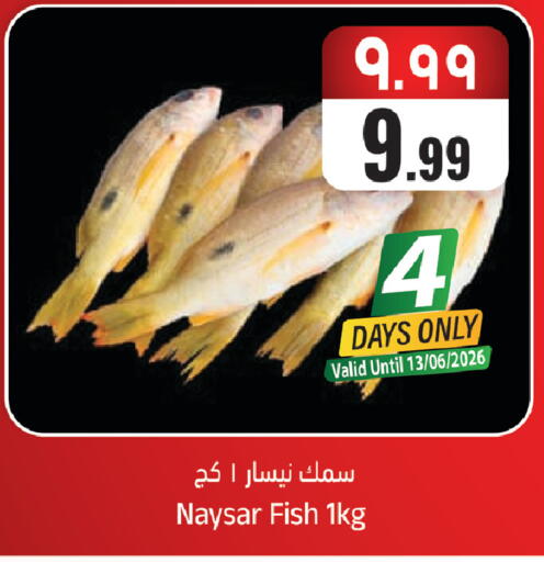 available at ستي فلاور in مملكة العربية السعودية, السعودية, سعودية - الجبيل‎