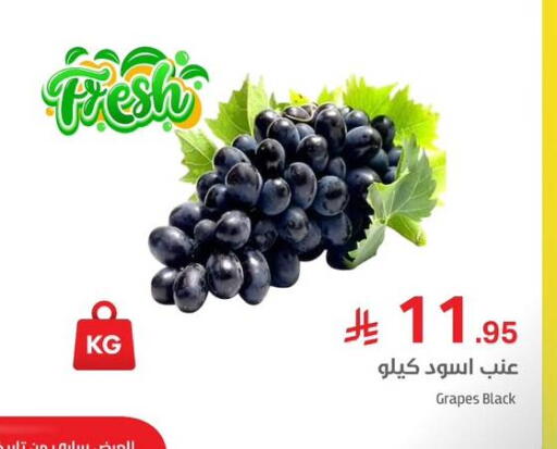 Grapes available at Meem Market  in KSA, Saudi Arabia, Saudi - Riyadh