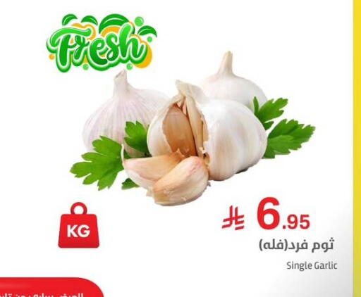 Garlic available at Meem Market  in KSA, Saudi Arabia, Saudi - Riyadh