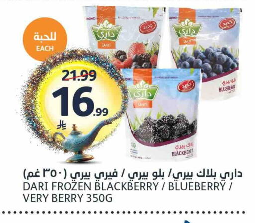 Blackberry Blueberry BlueBerry available at مركز الجزيرة للتسوق in مملكة العربية السعودية, السعودية, سعودية - الرياض