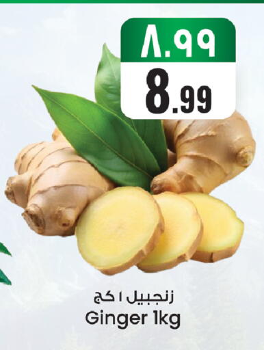 Ginger available at ستي فلاور in مملكة العربية السعودية, السعودية, سعودية - الجبيل‎