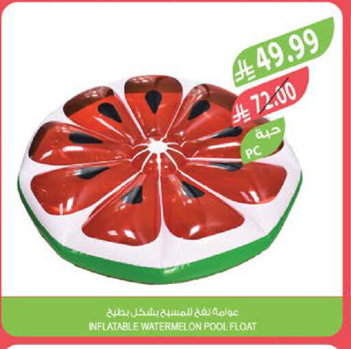 Watermelon available at المزرعة in مملكة العربية السعودية, السعودية, سعودية - نجران
