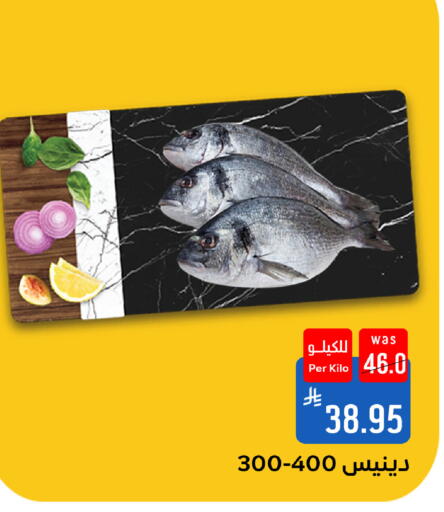 available at شبرا الطائف in مملكة العربية السعودية, السعودية, سعودية - الطائف
