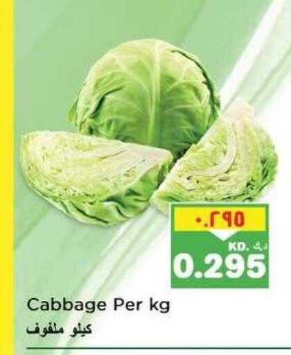 Cabbage available at نستو هايبر ماركت in الكويت - مدينة الكويت