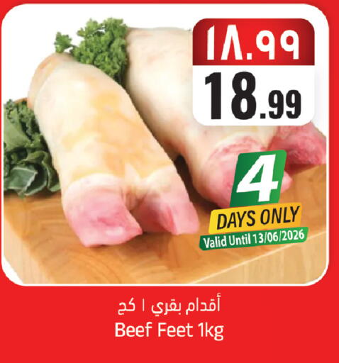 available at ستي فلاور in مملكة العربية السعودية, السعودية, سعودية - الجبيل‎