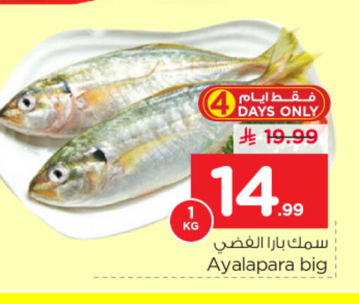 available at نستو in مملكة العربية السعودية, السعودية, سعودية - الرياض