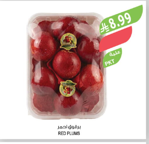 Plums available at المزرعة in مملكة العربية السعودية, السعودية, سعودية - سيهات