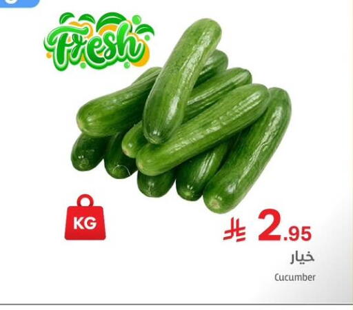 Cucumber available at ميم سوق in مملكة العربية السعودية, السعودية, سعودية - الرياض