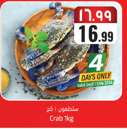 available at City Flower in KSA, Saudi Arabia, Saudi - Sakaka