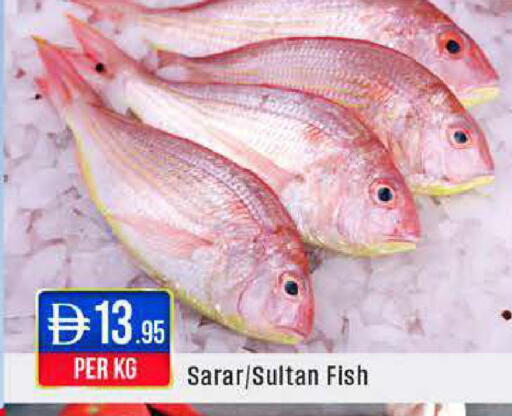 available at ويست زون سوبرماركت in الإمارات العربية المتحدة , الامارات - أبو ظبي