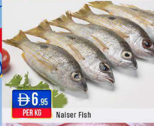available at ويست زون سوبرماركت in الإمارات العربية المتحدة , الامارات - أبو ظبي