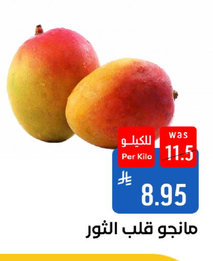 available at شبرا الطائف in مملكة العربية السعودية, السعودية, سعودية - الطائف