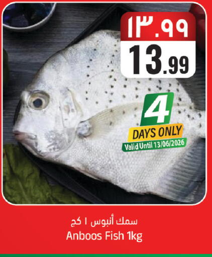 available at ستي فلاور in مملكة العربية السعودية, السعودية, سعودية - الرياض