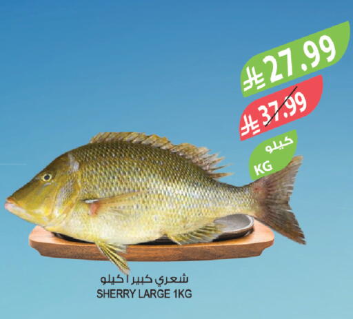 available at المزرعة in مملكة العربية السعودية, السعودية, سعودية - الرياض