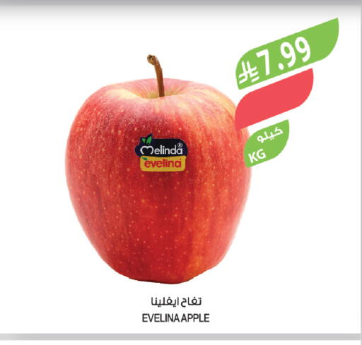 Apple available at المزرعة in مملكة العربية السعودية, السعودية, سعودية - سيهات
