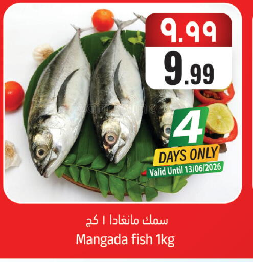 available at City Flower in KSA, Saudi Arabia, Saudi - Sakaka