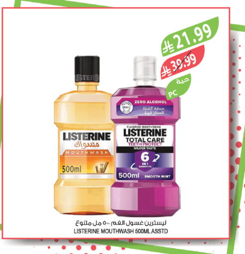 Mint available at المزرعة in مملكة العربية السعودية, السعودية, سعودية - الرياض