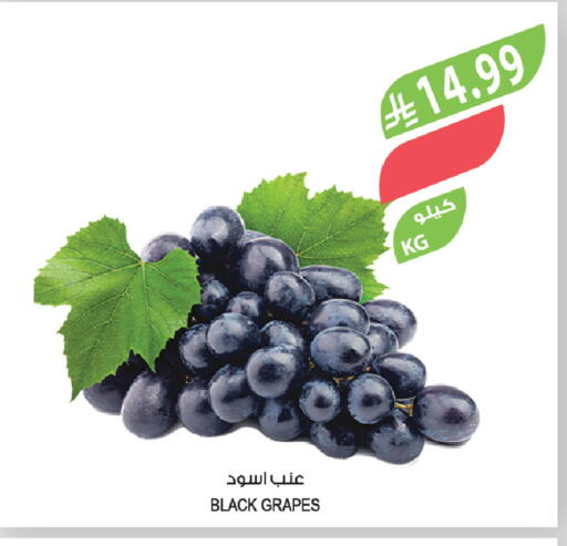 Grapes available at المزرعة in مملكة العربية السعودية, السعودية, سعودية - سيهات