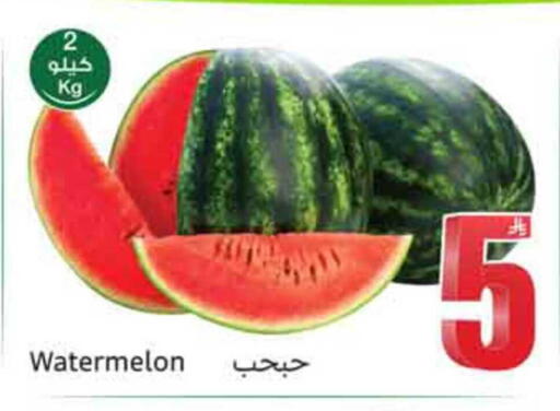 Watermelon available at أسواق عبد الله العثيم in مملكة العربية السعودية, السعودية, سعودية - المدينة المنورة