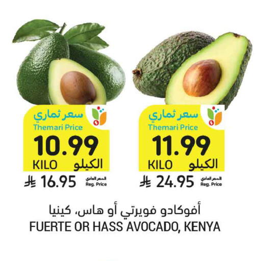 Avocado from Kenya available at أسواق التميمي in مملكة العربية السعودية, السعودية, سعودية - عنيزة