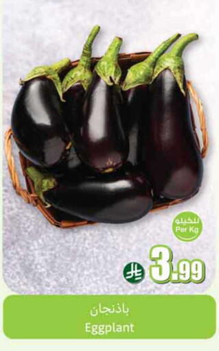 Eggplant available at أسواق عبد الله العثيم in مملكة العربية السعودية, السعودية, سعودية - المدينة المنورة