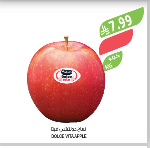 Apple available at المزرعة in مملكة العربية السعودية, السعودية, سعودية - سيهات